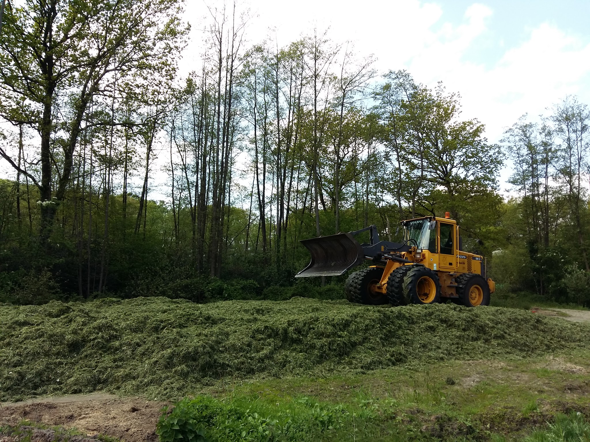 Volvo shovel met grasvork op een hoop gemaaid gras langs een bos